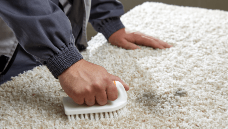 Professional Rug Cleaning Mount Martha